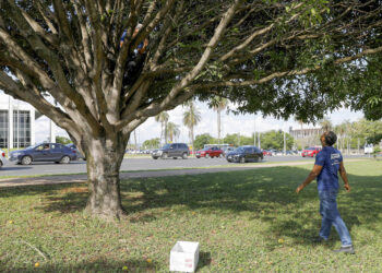 Fotos: Lúcio Bernardo Jr./Agência Brasília