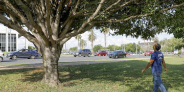 Fotos: Lúcio Bernardo Jr./Agência Brasília