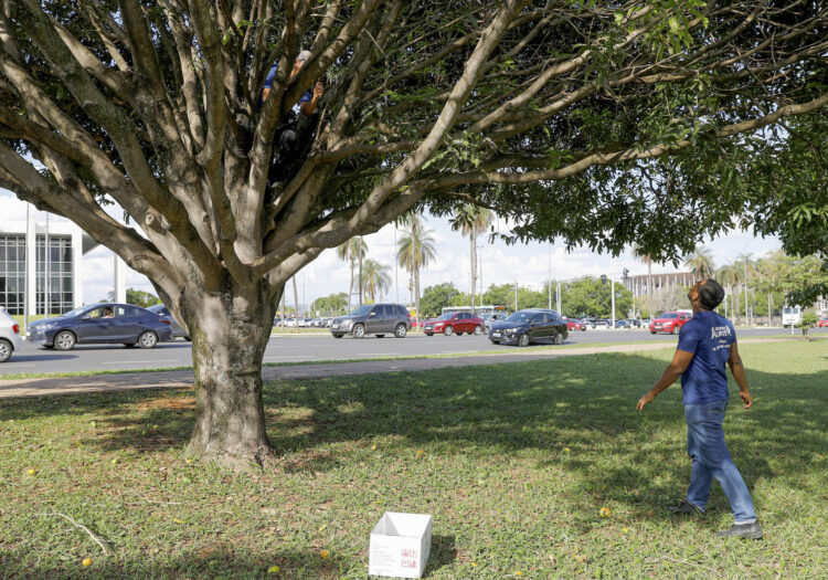 Fotos: Lúcio Bernardo Jr./Agência Brasília