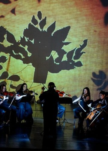 Orquestra durante o espetáculo Sombras Musicais com projeções de teatro de sombras